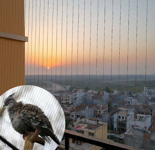 Netting Service