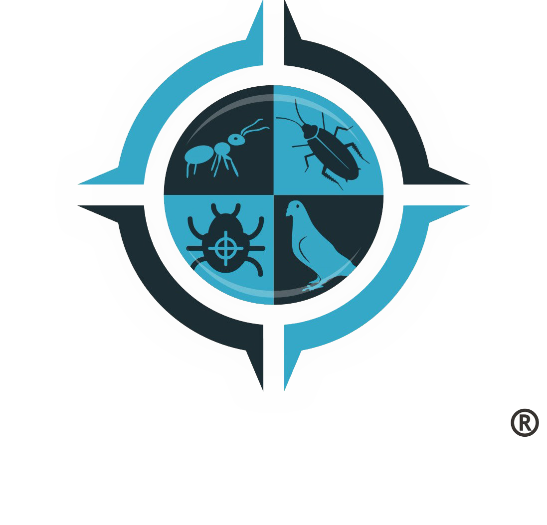 Petronus Logo